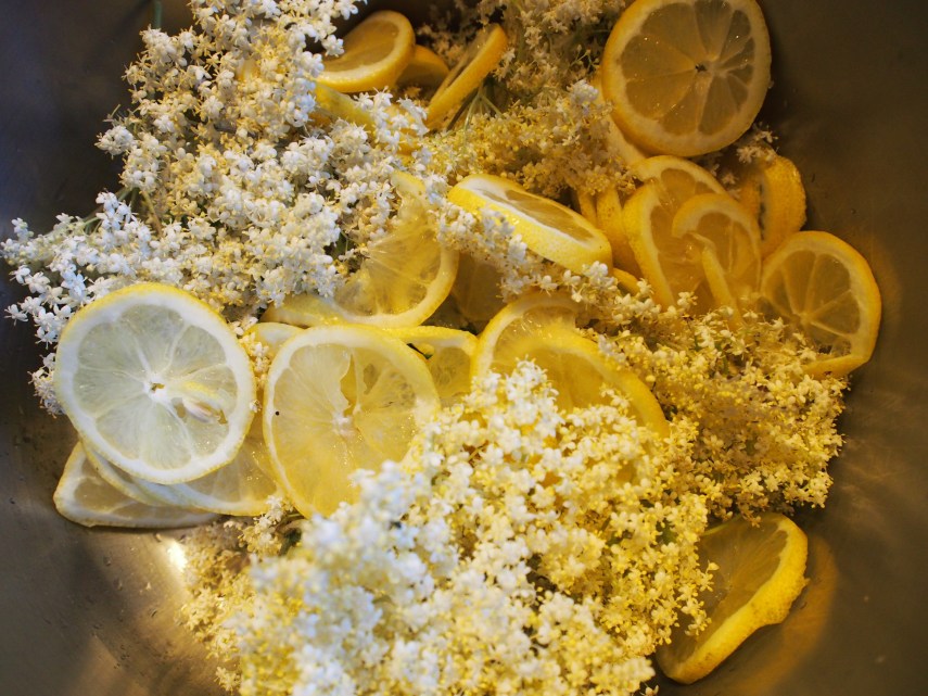 Varva citronskivor och fläderblommor.